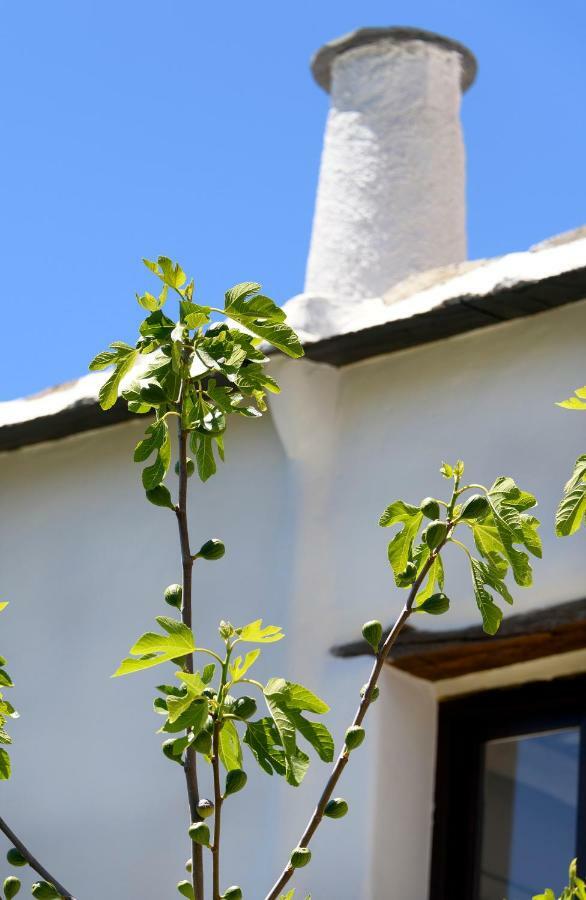 Casa Cecilia Apartman Bubión Kültér fotó